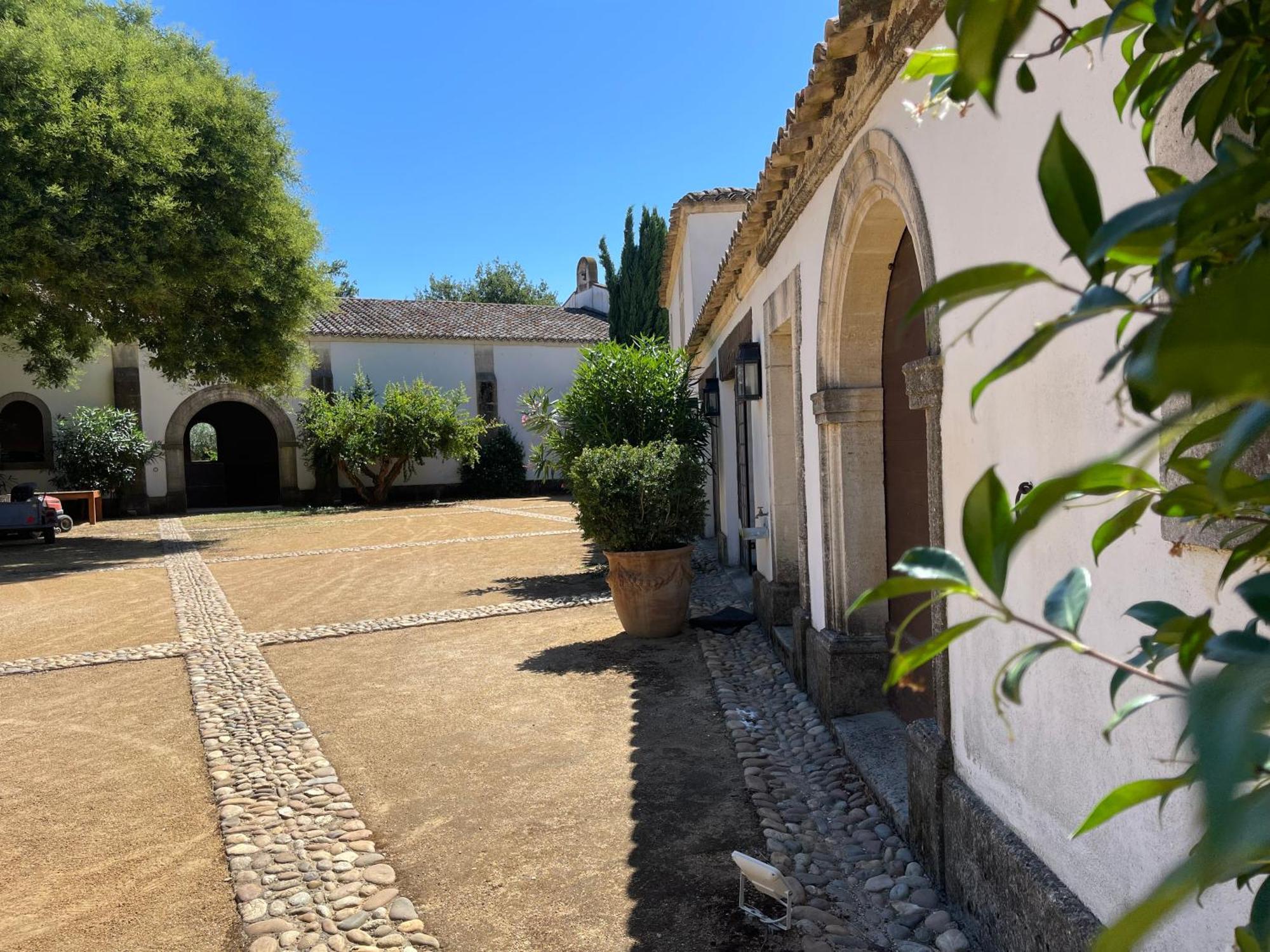 Mas Des Becasses, En Provence - 22 Personnes Villa Arles Ngoại thất bức ảnh